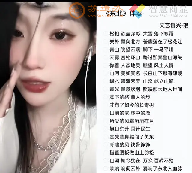 网红雨姐视频BGM《东北》伴奏