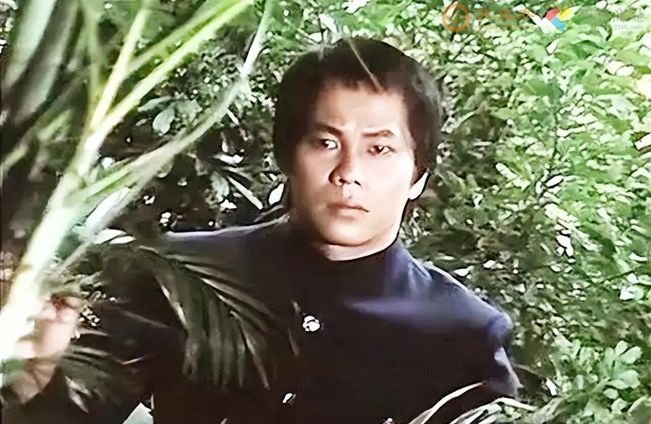 史记.港星梁小龙列传